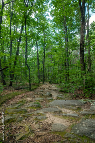 West Rim Loop Trail  Cloudland Canyon State Park  Georgia  USA