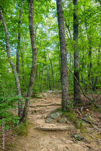 West Rim Loop Trail, Cloudland Canyon State Park, Georgia, USA