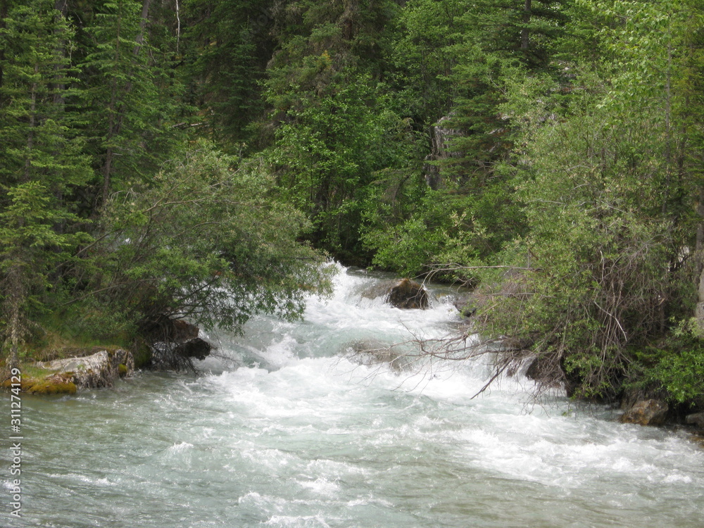 Rush On The Creek, Jasper National Park, Alberta Rush On The Creek, Jasper National Park, Alberta