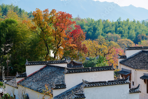 Hui style arcitectures in autumn trees. photo