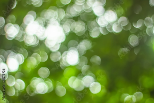 Natural spring blurred green leaves background. Create light soft blurred colors in bright sunshine. Green bokeh abstract glitter light background. Focus texture from nature forest fresh shiny growth.