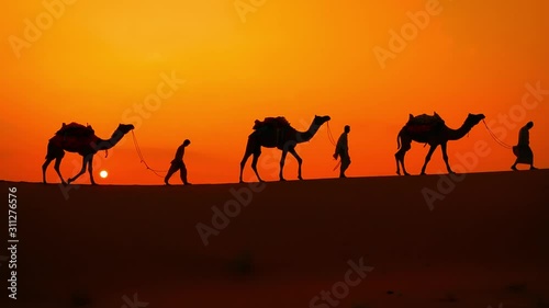 Cameleers, camel Drivers at sunset. Thar desert on sunset Jaisalmer, Rajasthan, India. photo
