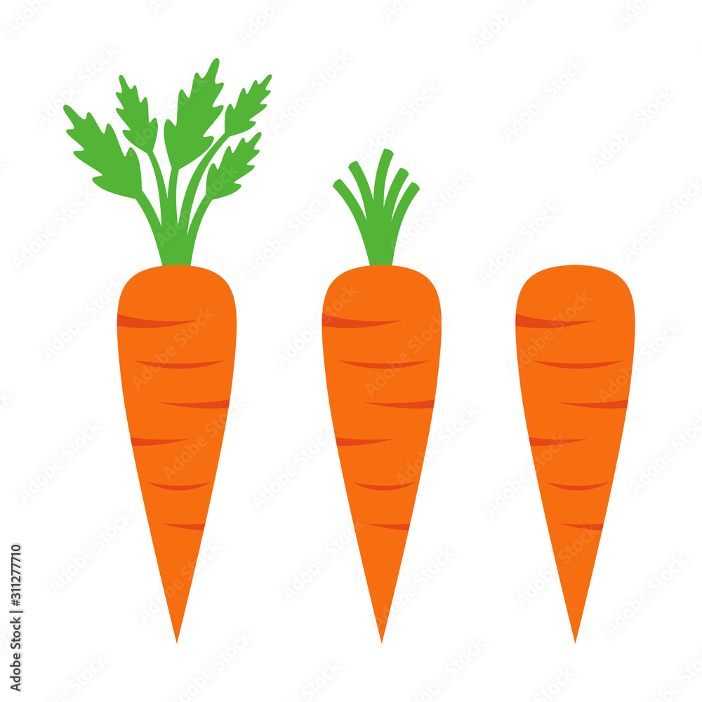 Carrot Vector Design Illustration Carrot Vector Design Illustration