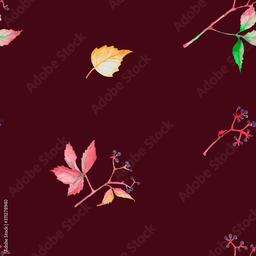 Watercolor Hand drawn seamless pattern colorful branch of the wild vine plant. Red, yellow, orange leaves on the branch on dark background. Design for packaging, fabric, textile, wallpaper, website,