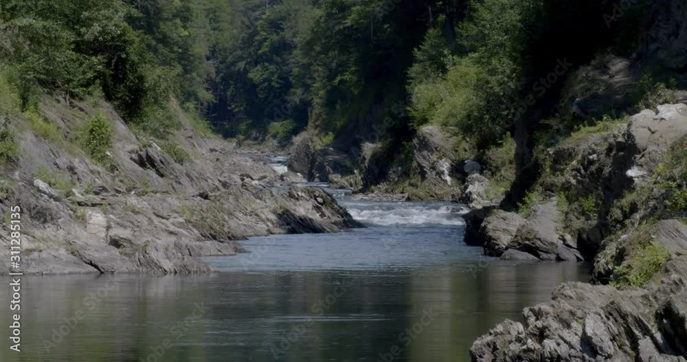 River flowing in a gorge through rocks and forest trees River flowing in a gorge through rocks and forest trees