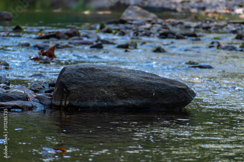 A large rock in the middle of the frame taken during a stream study by elementary students. Picture taken in landscape horizontal orientation.