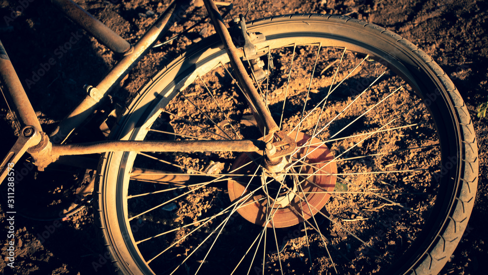 Obraz premium ABANDONED BIKE