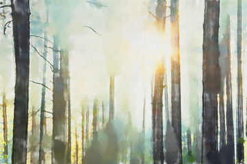 watercolor colorful illustration