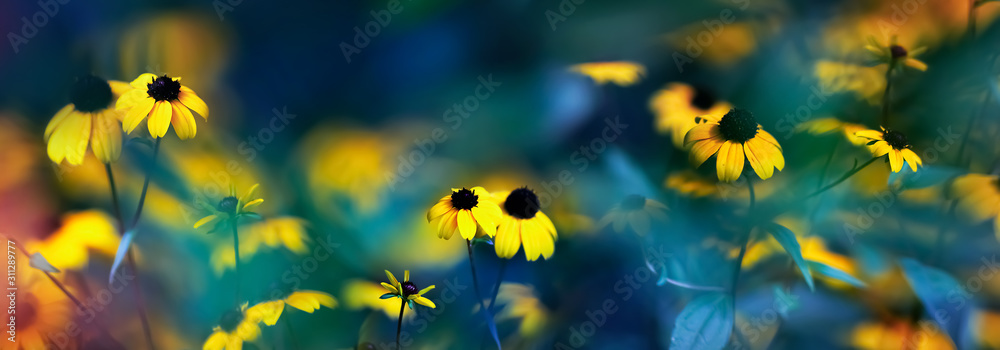 Small yellow bright summer flowers on a background of blue and green foliage in a fairy garden. Macro artistic image. Banner format.