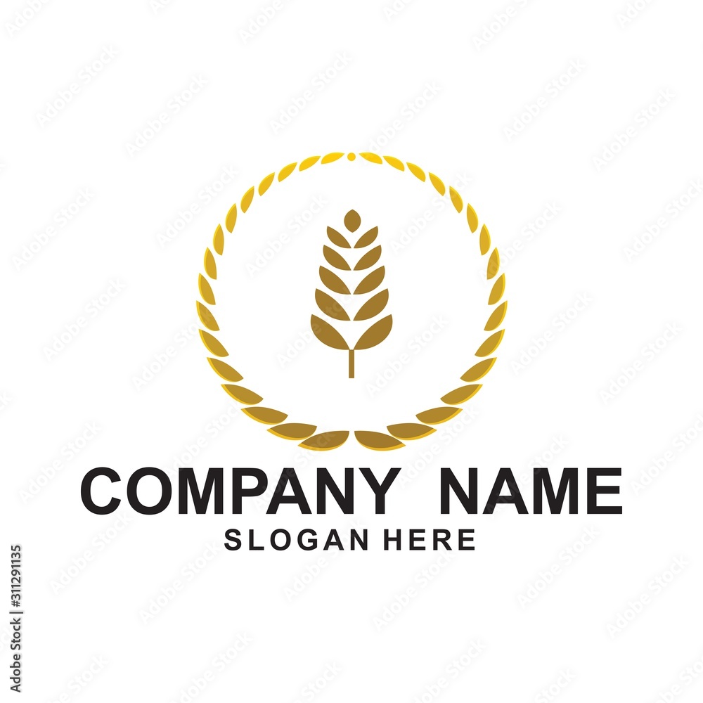 Agriculture Logo Template. Rice plants, and Wheat plants logo design. Agriculture Logo Template. Rice plants, and Wheat plants logo design.