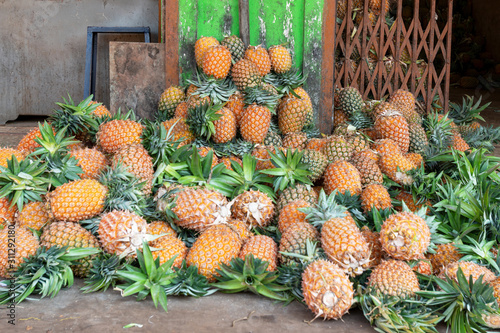 ripe and fragrant pineapples on a bright green background. concept of summer, relaxation and healthy food photo