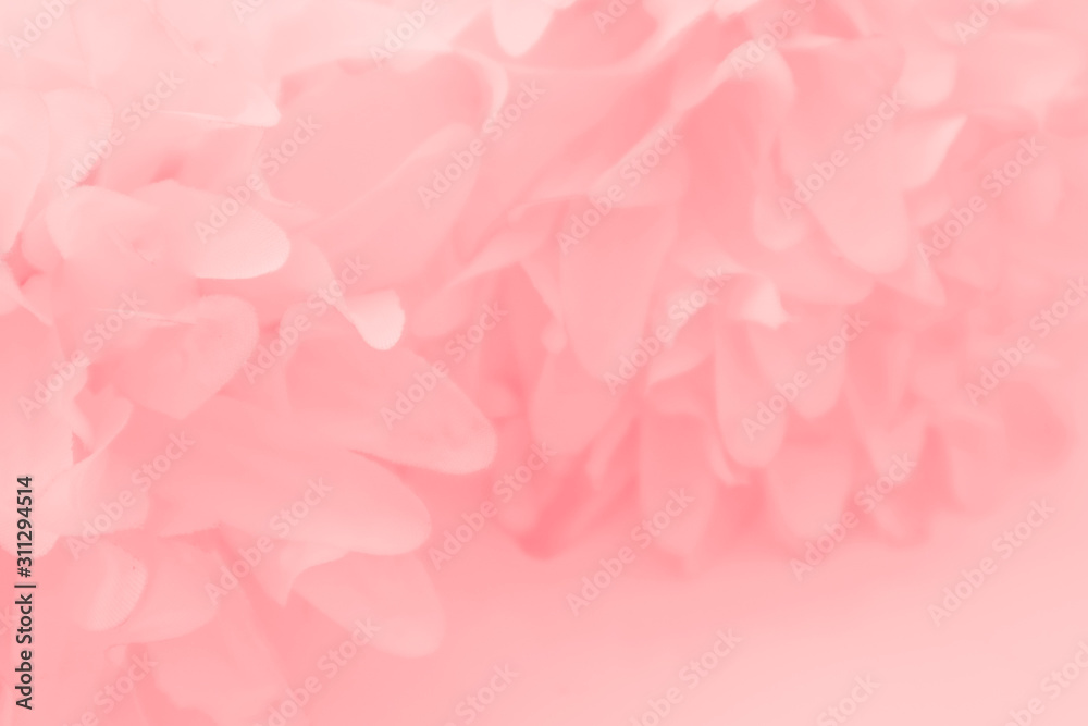Beautiful abstract color white and pink flowers on white background and white flower frame and orange leaves background texture, flowers banner Beautiful abstract color white and pink flowers on white background and white flower frame and orange leaves background texture, flowers banner
