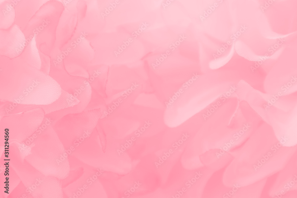 Beautiful abstract color white and pink flowers on white background and white flower frame and orange leaves background texture, flowers banner Beautiful abstract color white and pink flowers on white background and white flower frame and orange leaves background texture, flowers banner