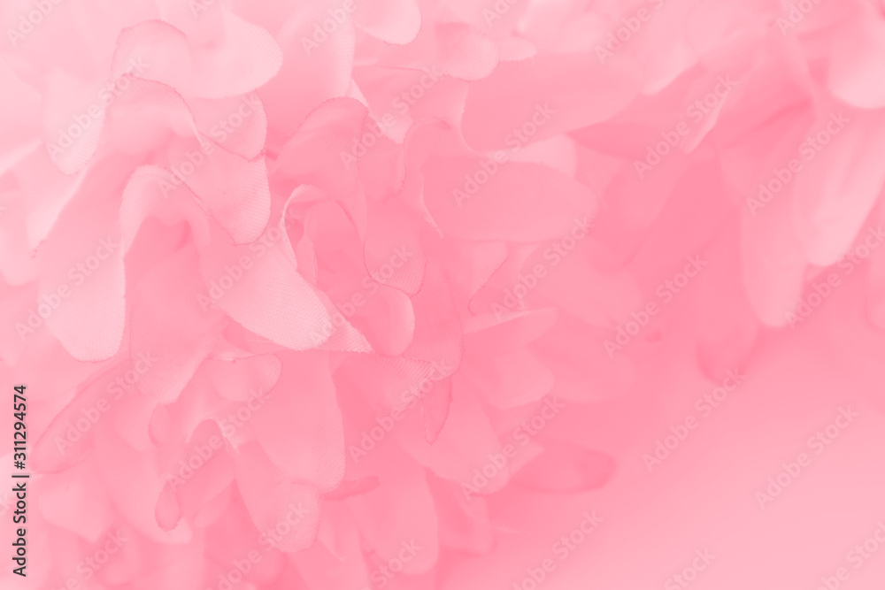 Beautiful abstract color white and pink flowers on white background and white flower frame and orange leaves background texture, flowers banner