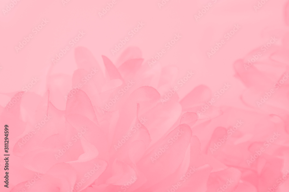 Beautiful abstract color white and pink flowers on white background and white flower frame and orange leaves background texture, flowers banner Beautiful abstract color white and pink flowers on white background and white flower frame and orange leaves background texture, flowers banner