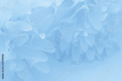 Beautiful abstract color purple and blue flowers on white background and light blue flower frame and purple leaves texture, blue background