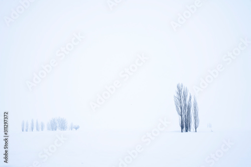 view of winter landscape  snow covered field and deciduous trees.