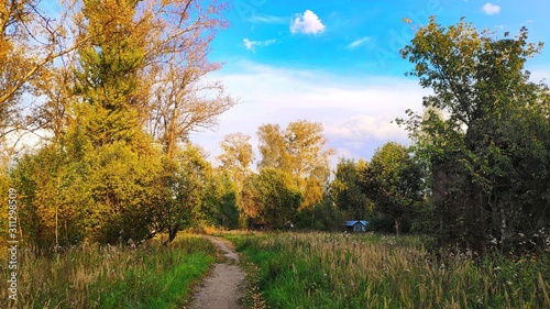 Photography of beautiful nature, landscape