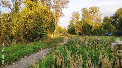 Photography of beautiful nature, landscape