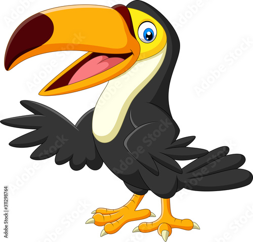Cartoon toucan isolated on white background