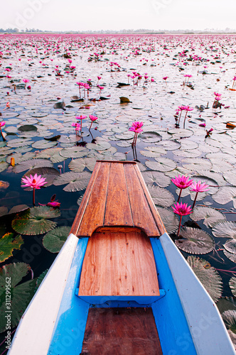 Thai wooden boat bow travel in peaceful Nong Harn red lotus lake - Udonthani, Thailand. Famous red lotus lake in winter photo