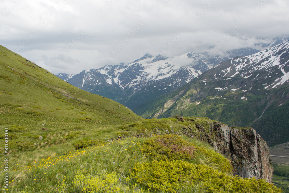 the sun in the mountains, surrounded by dense greenery and flowers, large rocks, snow high mountains in the distance