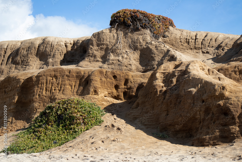 Sand dunes at Marina State Beach Monterey County California