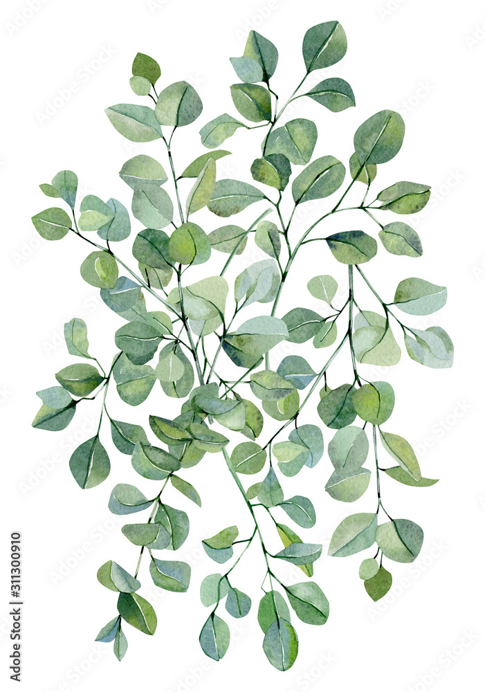 Watercolor banner background with hand painted silver dollar eucalyptus