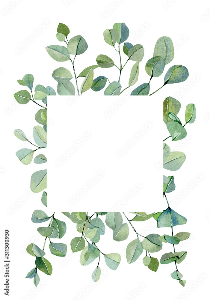 Watercolor banner with hand painted silver dollar eucalyptus. Green branches and leaves isolated on white background.  Rustic garden illustration for wedding inspiration card, template.