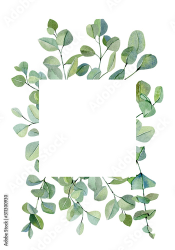 Watercolor banner with hand painted silver dollar eucalyptus. Green branches and leaves isolated on white background.  Rustic garden illustration for wedding inspiration card  template.