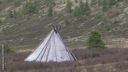 Mongolia, Darkhat basin. Settlement of reindeer herders. Deer. photo