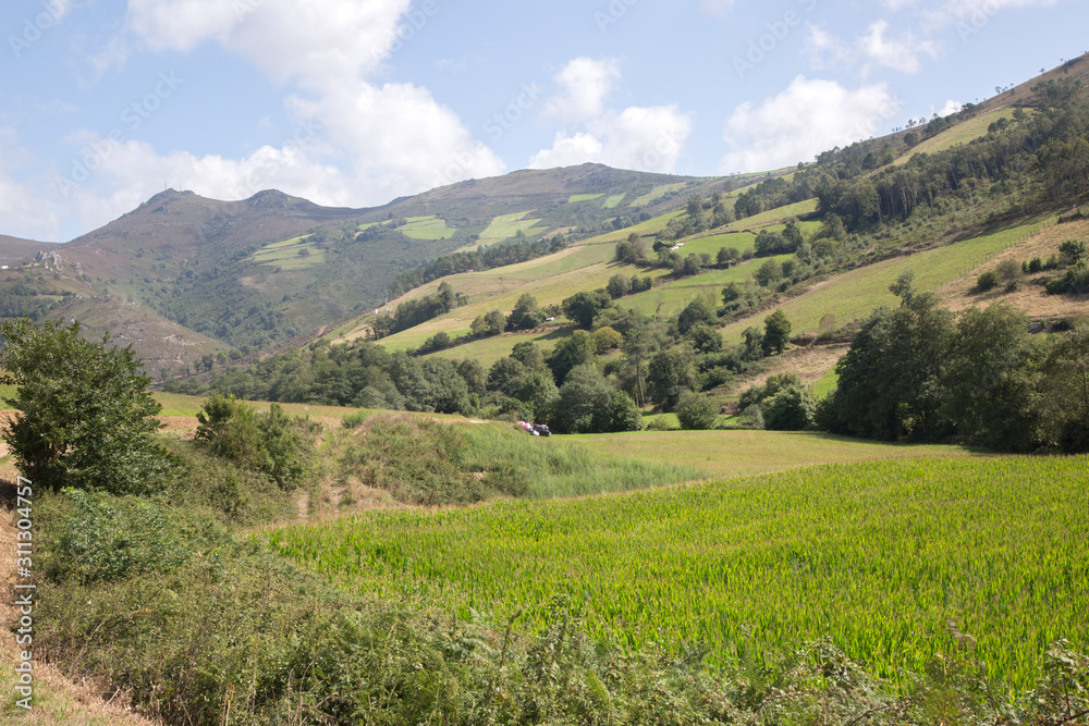 View of Landscape in Villayon, Asturias