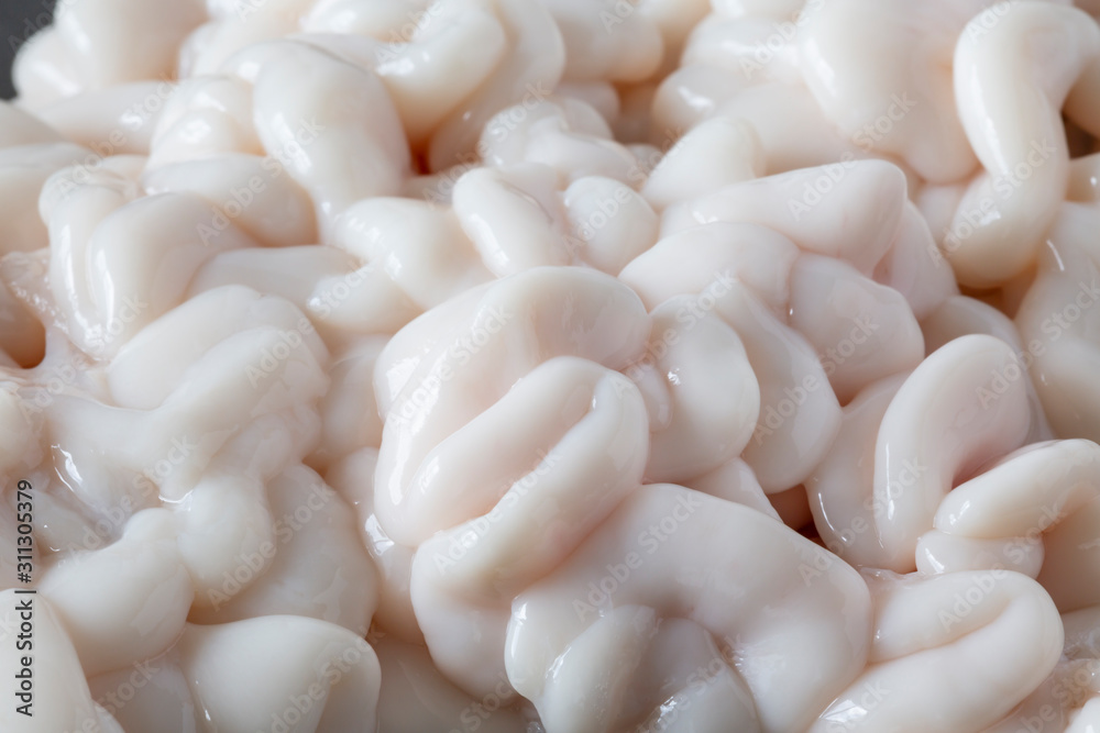 48 最適な マダラ白子 画像 ストック写真 ベクター Adobe Stock