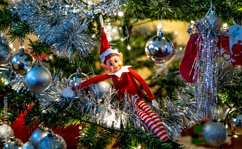  Selective focus on naughty Christmas elf sat in a decorated Christmas tree photo