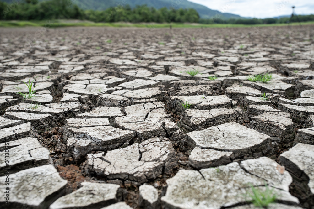 Cracked dry land without water.Abstract background Cracked dry land without water.Abstract background