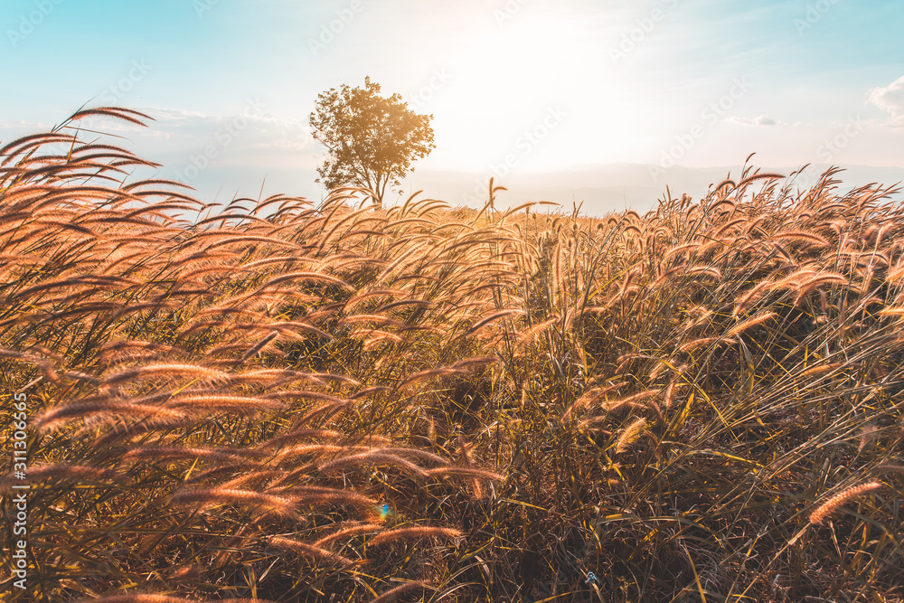 Fototapeta premium colorful dramatic sky with cloud at sunset in the mountains