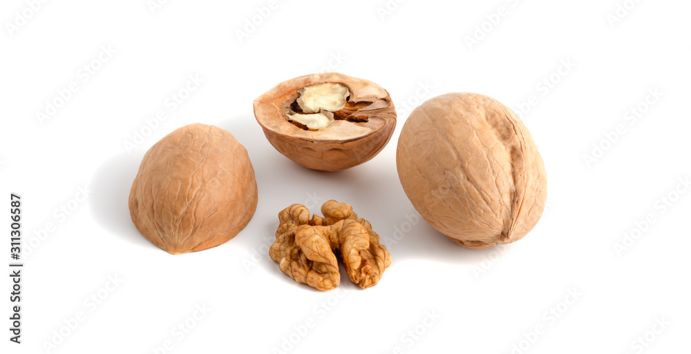 walnut shells and kernels on white background walnut shells and kernels on white background