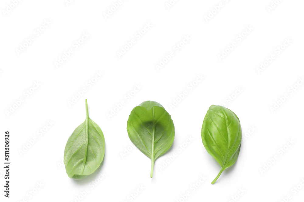 Fresh green basil leaves on white background, top view Fresh green basil leaves on white background, top view