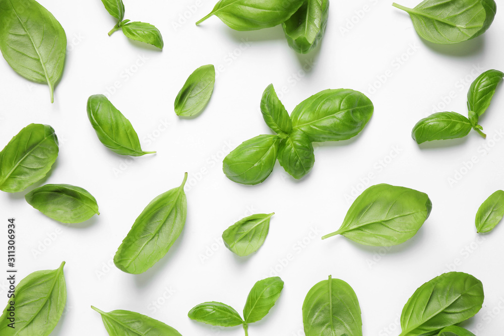 Fresh green basil leaves on white background, top view Fresh green basil leaves on white background, top view