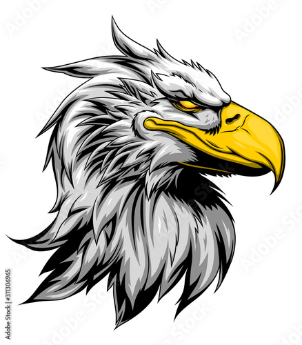 Strong eagle head