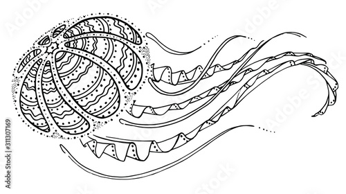 Vector illustration. Coloring page. Big jellyfish. Black line. Sea life collection. Sea inhabitants. Coloring book for adults.