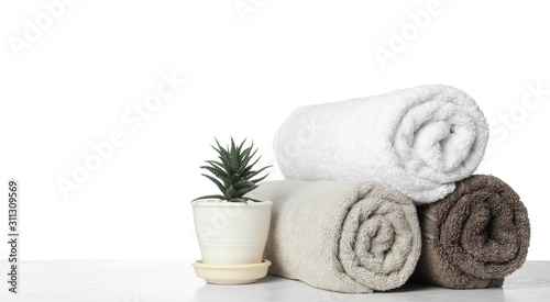 Rolled clean towels for bathroom and houseplant on table against white background. Space for text