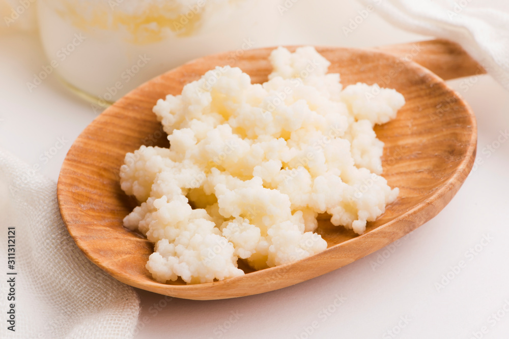 Milk kefir grains in spoon. Yeast bacterial fermentation starter Milk kefir grains in spoon. Yeast bacterial fermentation starter