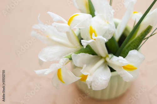 White irises with green leaves in a vase. View from above. A place for your text. Background for spring design.