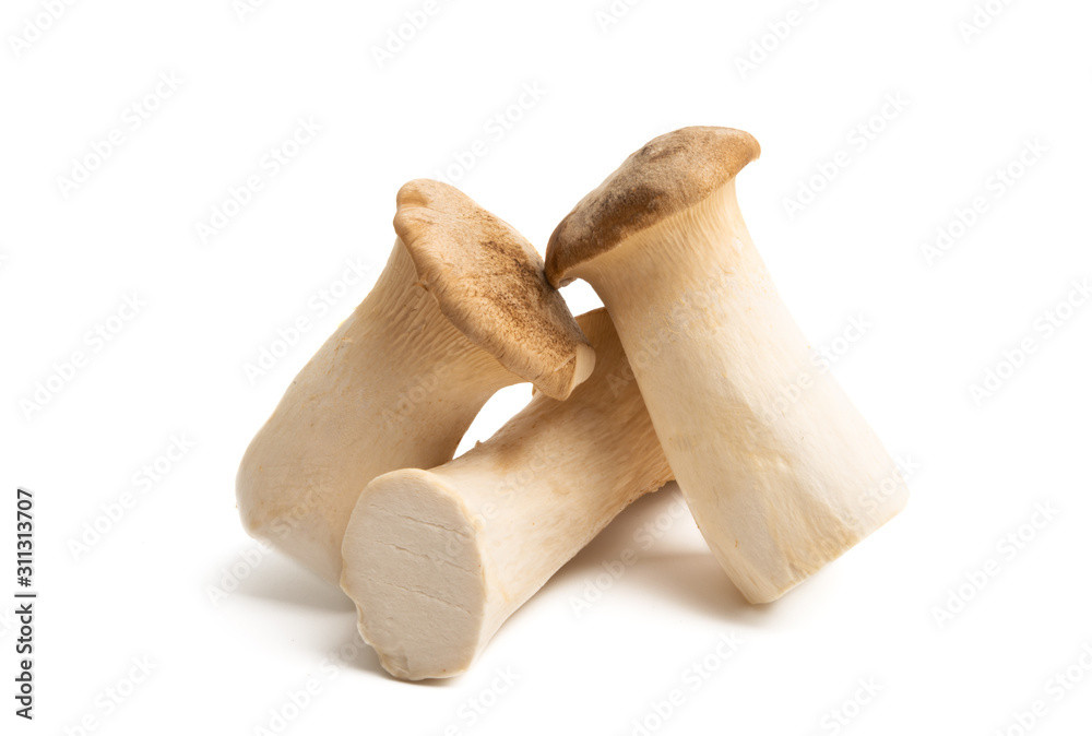 eryngi mushrooms isolated eryngi mushrooms isolated