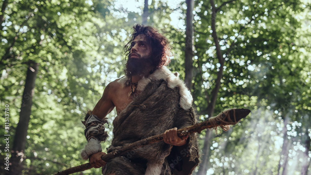 Fototapeta premium Portrait of Primeval Caveman Wearing Animal Skin and Fur Hunting with a Stone Tipped Spear in the Prehistoric Forest. Prehistoric Neanderthal Hunter Ready to Throw Spear in the Jungle