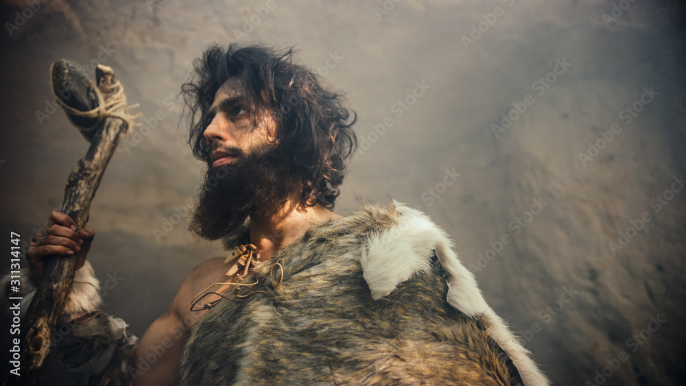 Primeval Caveman Wearing Animal Skin Holds Stone Tipped Hammer Comes Primeval Caveman Wearing Animal Skin Holds Stone Tipped Hammer Comes