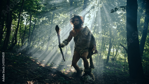 Primeval Caveman Wearing Animal Skin Holds Stone Tipped Spear Looks Around, Explores Prehistoric Forest in a Hunt for Animal Prey. Neanderthal Going Hunting in the Jungle photo