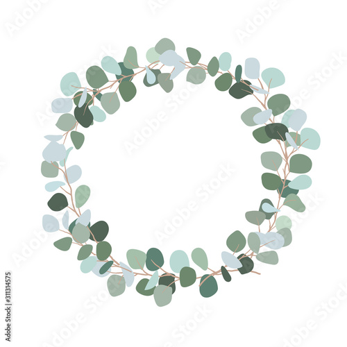 Festive wreath of branches with bluish leaves. Silver dollar eucalyptus wreath with place for text for wedding, invitation. Botanical plant. Flat illustration isolated on white background.