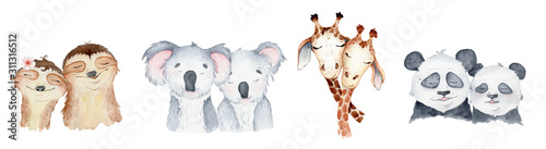 Watercolor animals character collection. Panda, sloth, giraffe, koala
